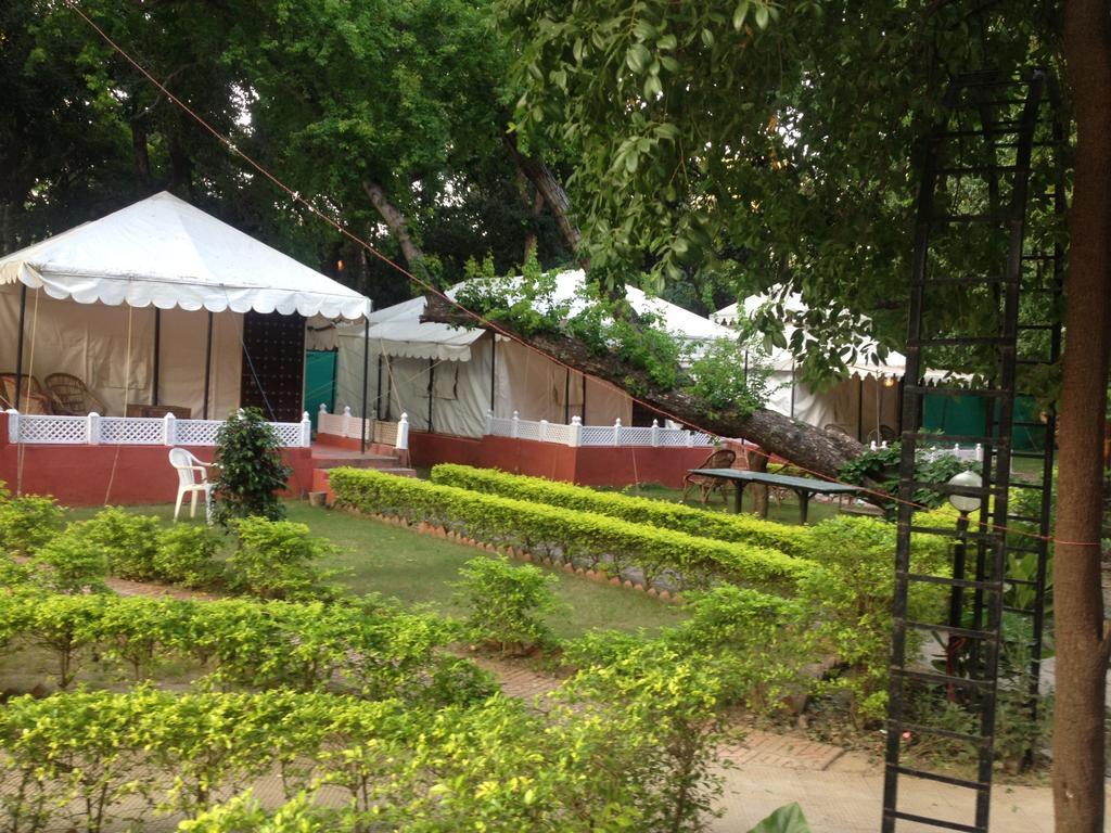 The Aravali Tent Resort Udaipur Szoba fotó